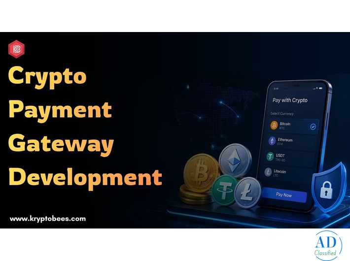 Build a Crypto Payment Gateway with Advanced Payment Processing?