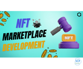 Start NFT Marketplace Development with Experts