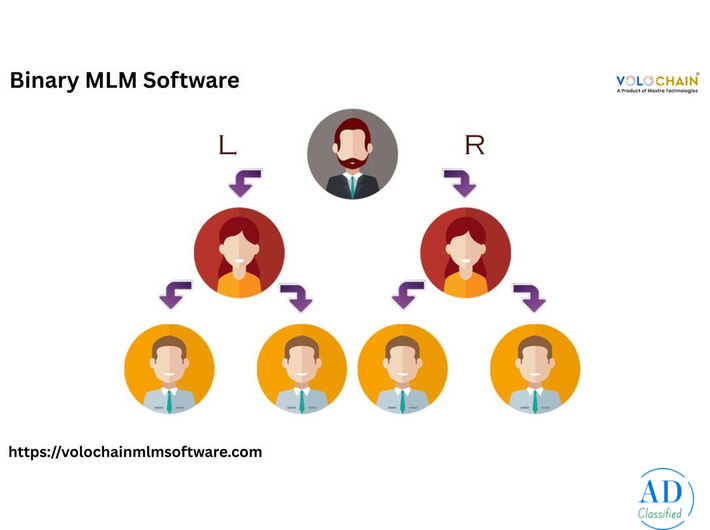 Strong Binary MLM Software for Quick Business Success and Growth