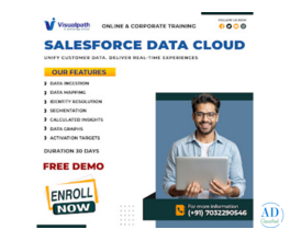 Salesforce Data Cloud Classes | Live Online Training