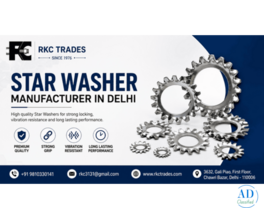Star Washer Manufacturer in Delhi