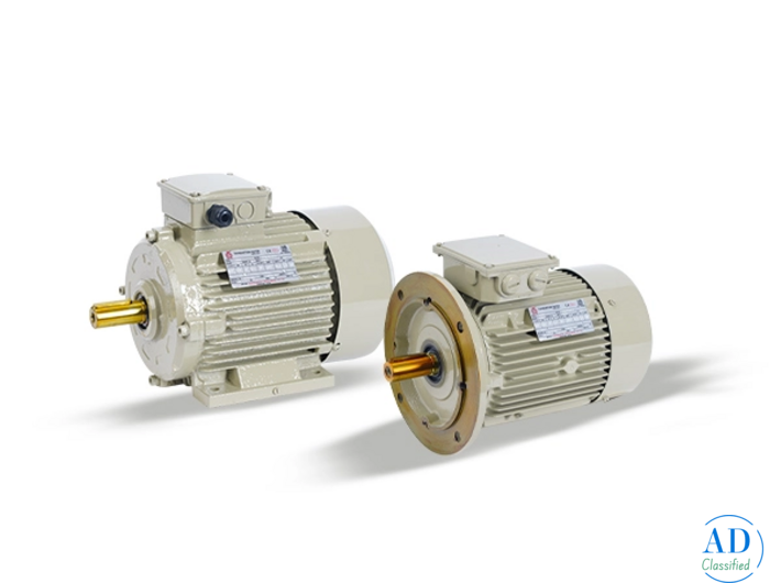 Best High Efficiency Standard Motor