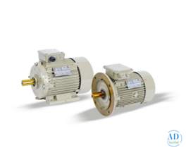 Best High Efficiency Standard Motor
