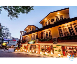 Shimla Hotels Near Mall Road – Stay at Hotel Willow Banks