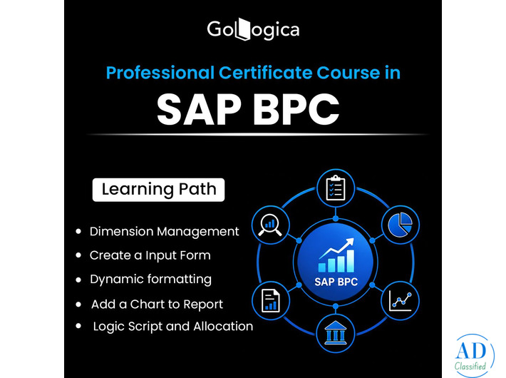 SAP BPC Online Training | Live Course & Certification | GoLogica