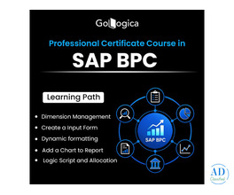 SAP BPC Online Training | Live Course & Certification | GoLogica