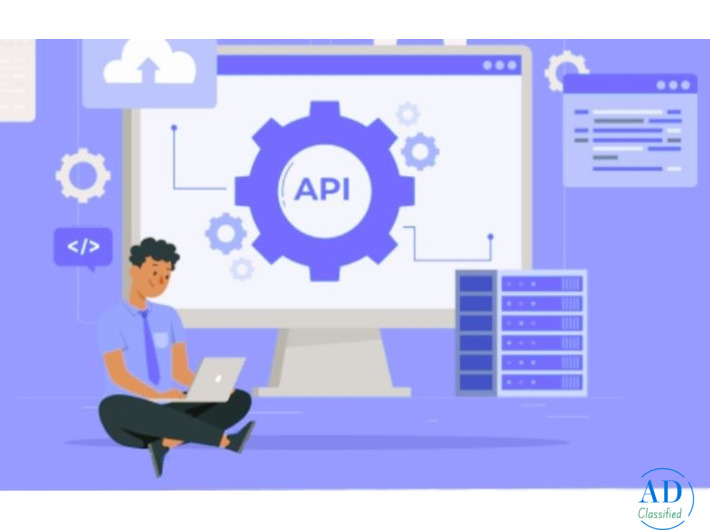 GST API documentation India