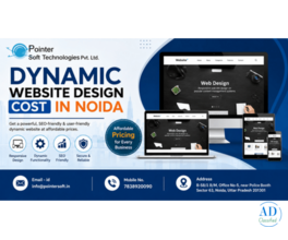Dynamic Website Design Cost in Noida