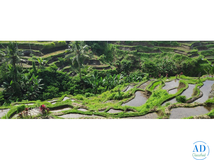 Bali Luxury Holiday – Beachfront Comfort & Island Experiences