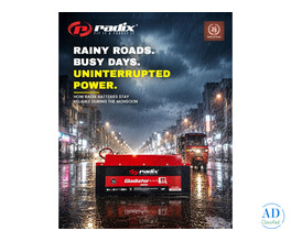 Choose Radix Battery for Longer E-Rickshaw Runs