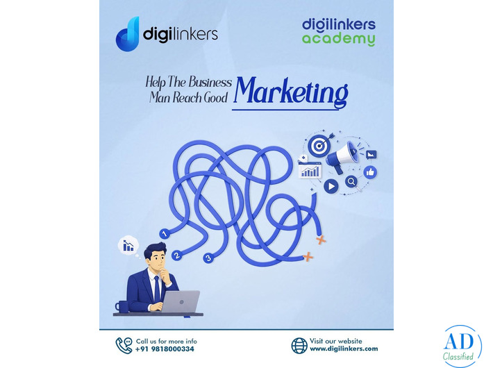 SEO & Digital Marketing Agency in Delhi | Digilinkers