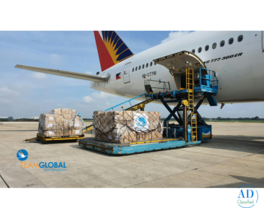 Trusted FCL Logistics Services for International Freight Management