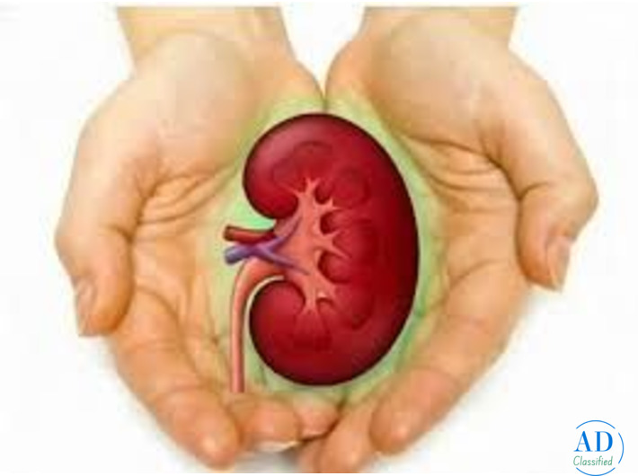 RIIMS provides trusted Ayurvedic Kidney Disease Treatment