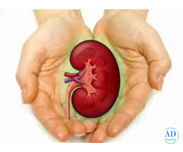 RIIMS provides trusted Ayurvedic Kidney Disease Treatment