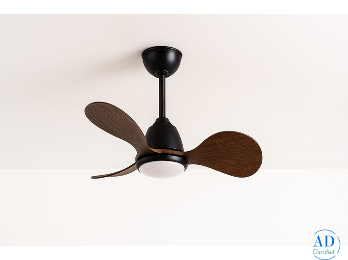 Top Premium Quality Designer Fan