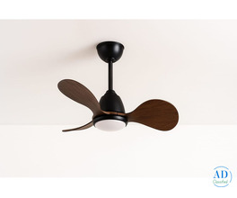 Top Premium Quality Designer Fan