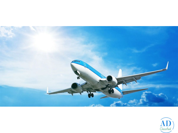 Is KLM Premium Economy Worth It? | The Jersey Flights