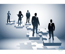 Best Job Placement Consultancy in Indore - Employora