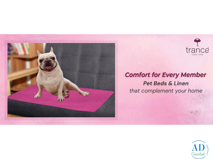 Comfort for Every Member Pet Beds & Linen that complement your home