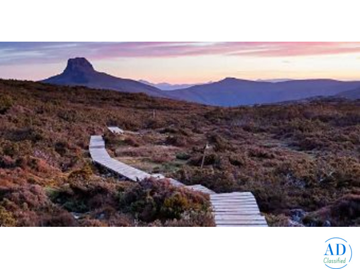 Explore Tasmania with a Curated Walking Adventure | Odyssey Travels