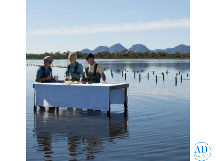 Explore Tasmania with a Curated Walking Adventure | Odyssey Travels