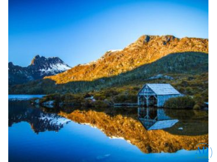 Explore Tasmania with a Curated Walking Adventure | Odyssey Travels
