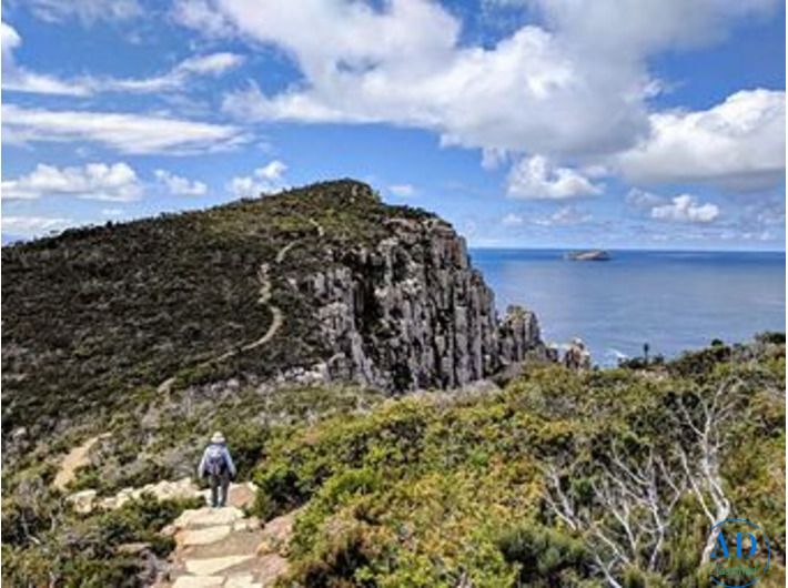Explore Tasmania with a Curated Walking Adventure | Odyssey Travels
