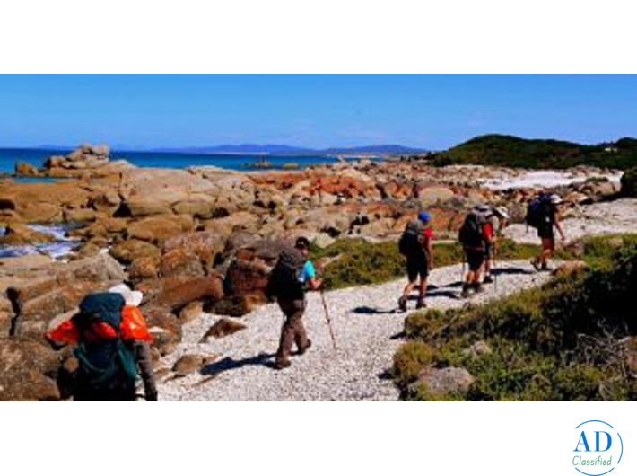 Explore Tasmania with a Curated Walking Adventure | Odyssey Travels