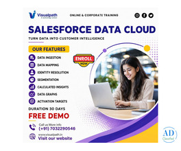 Salesforce Data Cloud Training Hyderabad | Online Classes