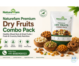Naturefam Premium Dry Fruits Combo Pack | Healthy Mixed Nuts & Dried Fruits