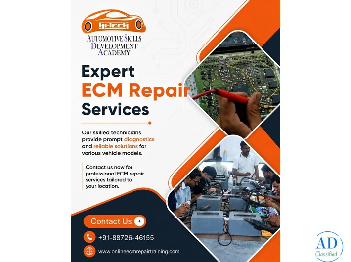 Hi-Tech ECM repair Khanna Punjab