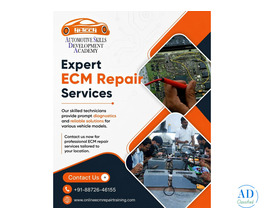 Hi-Tech ECM repair Khanna Punjab