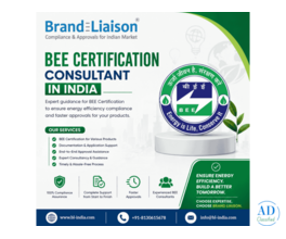 If You Are Looking for the Best BEE Certification Consultant in India, Contact Us Today
