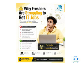 Why Are Freshers Struggling to Get IT Jobs?