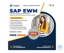 SAP EWM Course Online | SAP EWM Training in Ameerpet