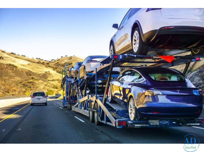 best car shipping company in Florida