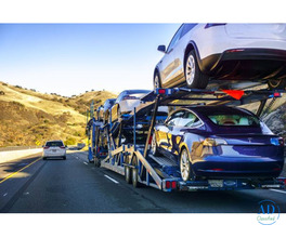best car shipping company in Florida
