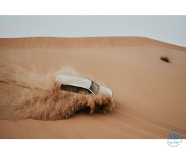 Desert Safaris Abu Dhabi | Top rated best priced Safari Operator