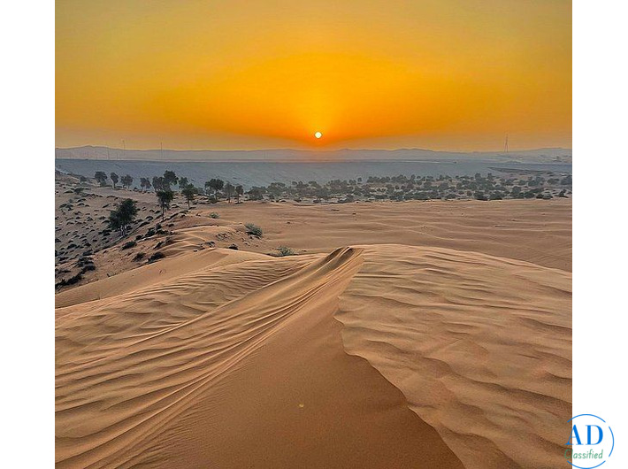 Desert Safaris Abu Dhabi | Top rated best priced Safari Operator