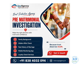Pre Matrimonial Investigation