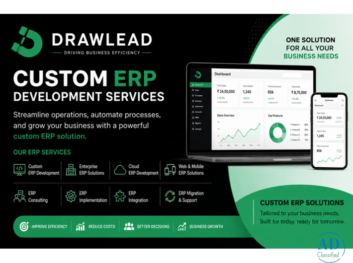 Custom ERP Development Services in Chennai | Drawlead