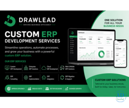Custom ERP Development Services in Chennai | Drawlead