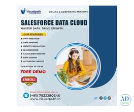 Salesforce Data Cloud Training Online | Live Expert Classes