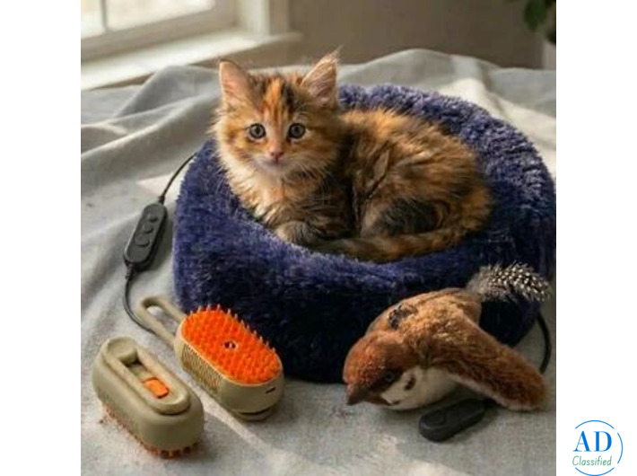 Interactive Cat Toys USA | Keep Your Cat Active - AZ Paws