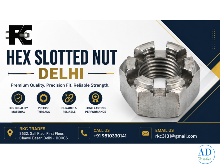 Hex Slotted Nut Delhi
