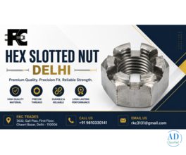 Hex Slotted Nut Delhi