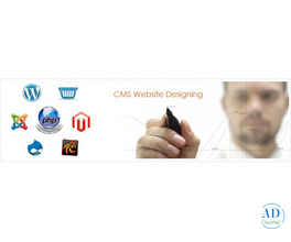 Best Cms Website Designing in Greater Noida