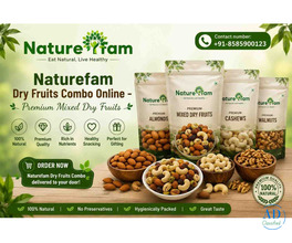 Naturefam Dry Fruits Combo Online – Premium Mixed Dry Fruits
