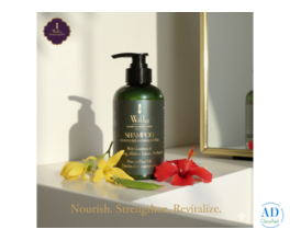 Find the Right Shampoo for Dry & Frizzy Hair