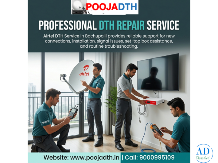 Professional DTH Repair Service